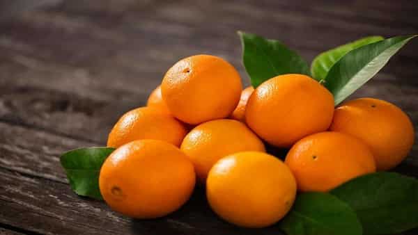 خرید پرتقال تامسون